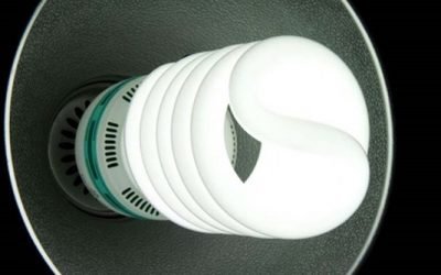 Where Did The CFL Go?