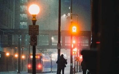 LED Streetlights Hurting Insect Population – There is an Easy Solution