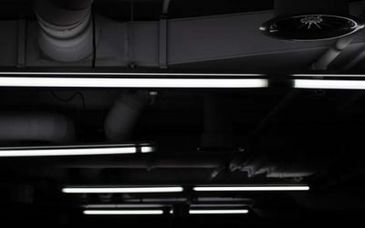 Global Fluorescent Ban?