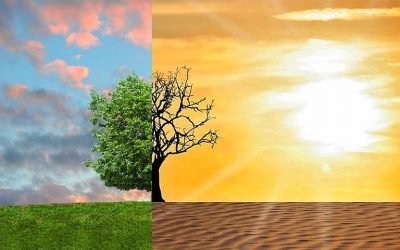 ESG Strategy – Investing in LED Lighting