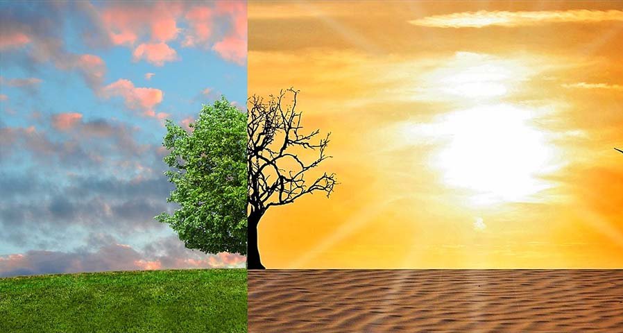 ESG Strategy – Investing in LED Lighting