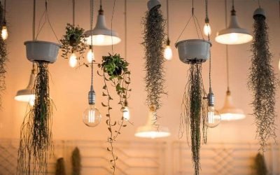LED vs. Incandescent – An In-depth Look at the Differences