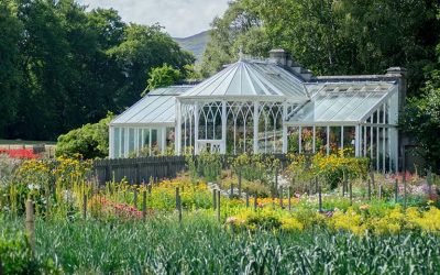 How to Choose LED Grow Lights for Your Greenhouse