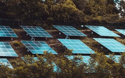 How Do Solar Panels Work?