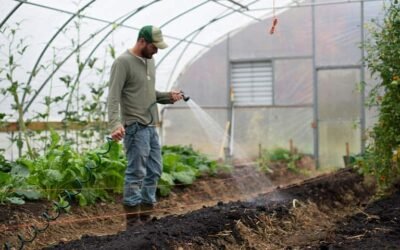 Greenhouse Grow Lighting – Selecting the Right Lighting for Your Plants