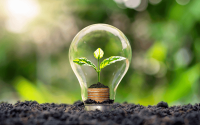 How Businesses Can Boost Sustainability Through Energy Efficiency for Earth Day