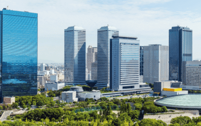 Choosing the Right Backup Power Options for Commercial Businesses